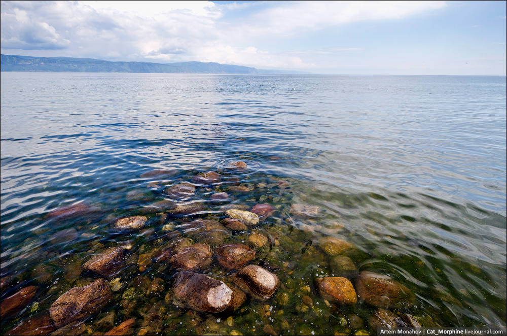 Lake Baikal is a home for more than 2,600 aquatic animals (1,000 endemic species, 11 endemic familie...